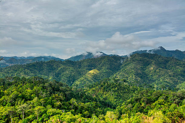 istock Mountain and trees of the rain forest. 533916880
