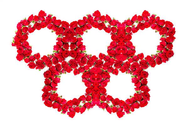 istock Bouquet of roses -  design element for floral themes. 533917430