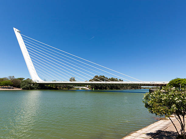 puente del alamillo, naranjas - santiago calatrava architecture seville bridge fotografías e imágenes de stock