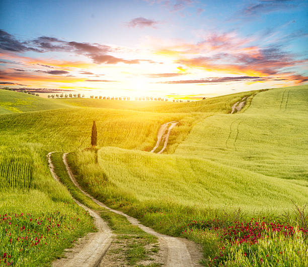 istock Beautiful Tuscany landscape with track 533922560