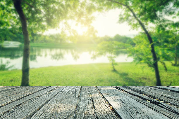 istock The landscap vintage style in park 533923248