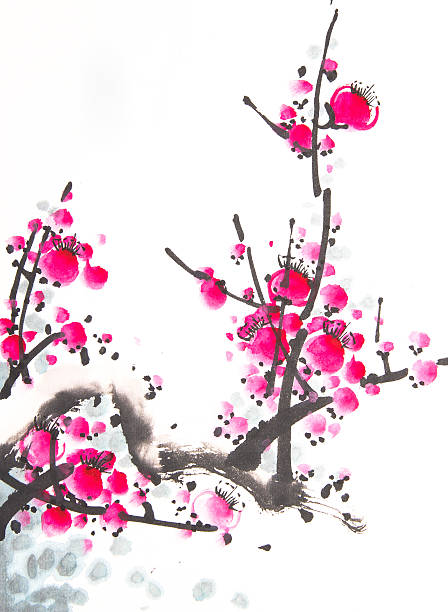 Chinese watercolor cherry painting vector art illustration