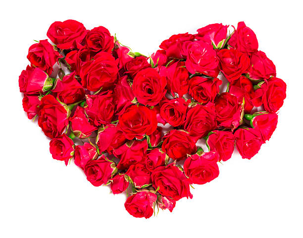 istock Bouquet of roses -  design element for floral themes. 533923996