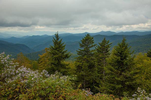 istock Overcast Day in the Blue Ridge Mountains. 533932895