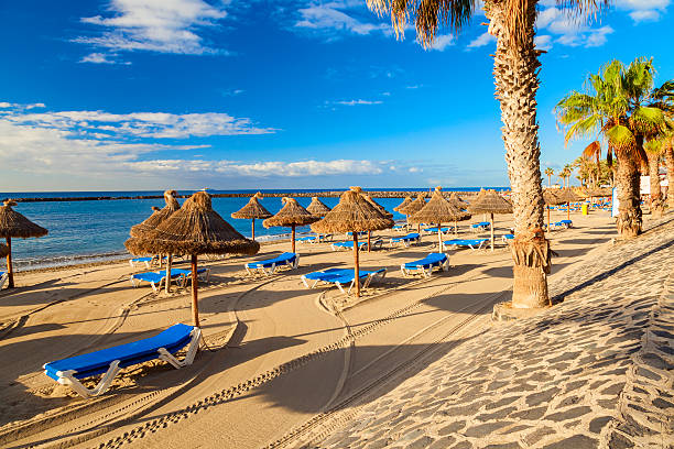 spiaggia di los cristianos - tenerife foto e immagini stock