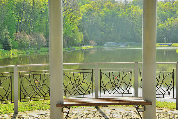 Morning in a park