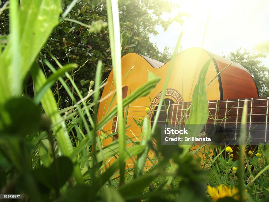 Photo guitar on the grass Photo of guitar on the green grass 2015 Stock Photo