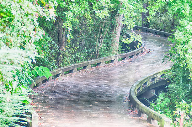 istock wooden golf cart pathway bridge curves 533938507