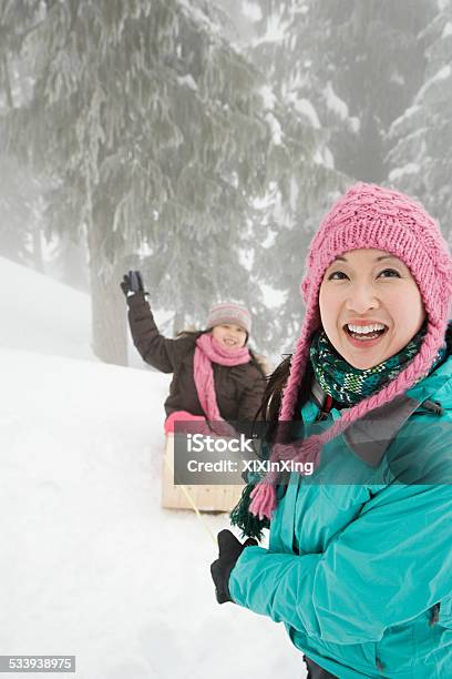 Madre E Hija Con Un Tobogán Foto de stock y más banco de imágenes de Vacaciones en la nieve - Vacaciones en la nieve, 2015, Abeto