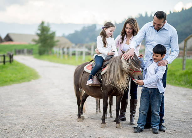 famiglia accarezzare un pony - petting zoo foto e immagini stock