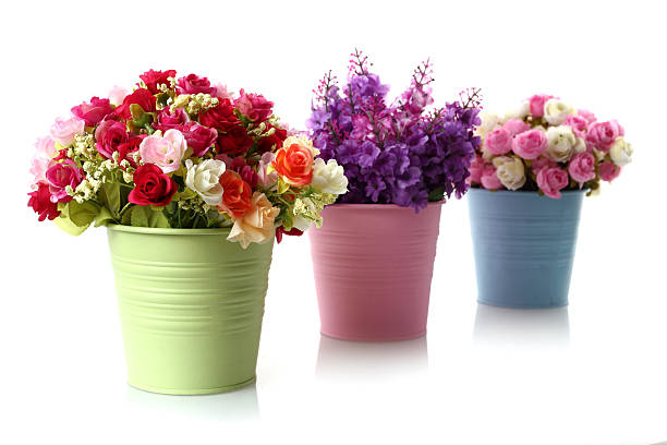 istock beautiful flower disc & flowers 533957451