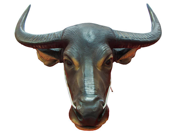 istock Thailand bull head statue with clipping path 533959373