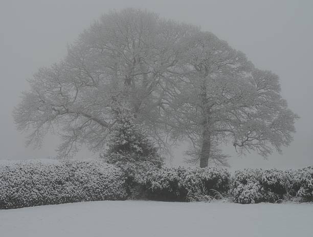 алдерлей вид на снегу 2 - alderley edge стоковые фото и изображения