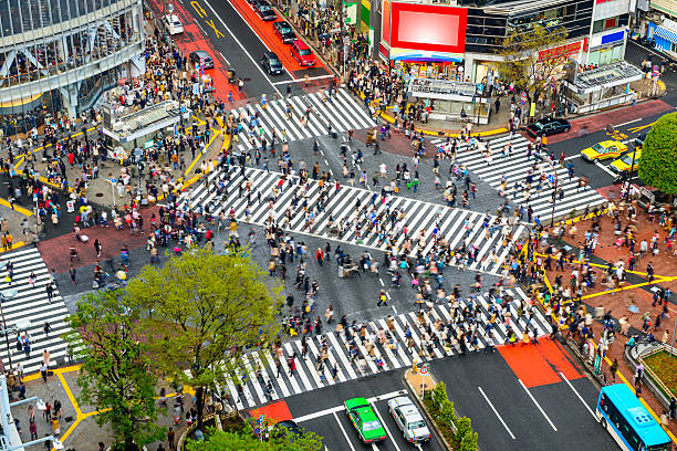 istock Shibuya, Tokyo, Japan 533959897