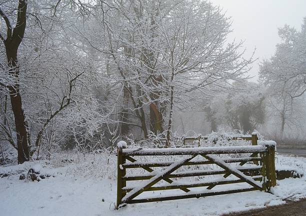 alderley edge na neve - alderley edge - fotografias e filmes do acervo