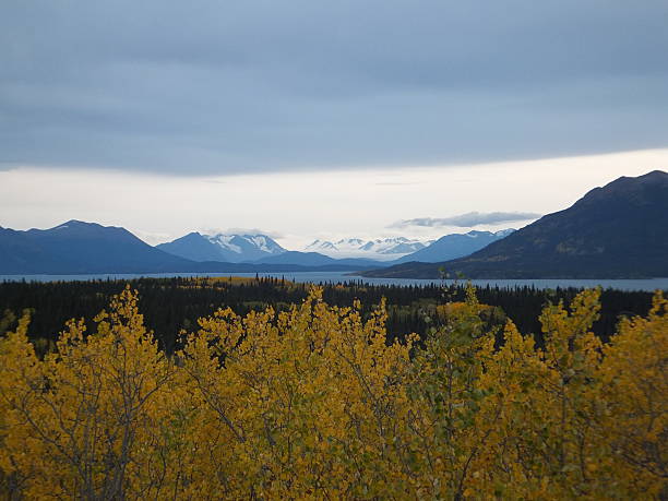 Juneau Icefield Juneau Icefields in the distance alaskan icefield stock pictures, royalty-free photos & images