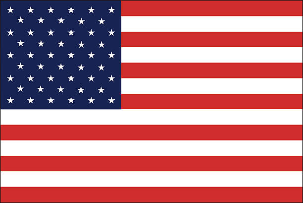 United States Flag vector art illustration