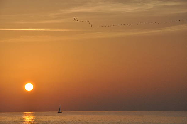 tel awiw-jafa słońca - sailboat sunset tel aviv sea zdjęcia i obrazy z banku zdjęć