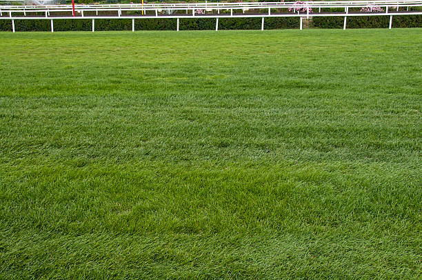 Horse Racing Tracks