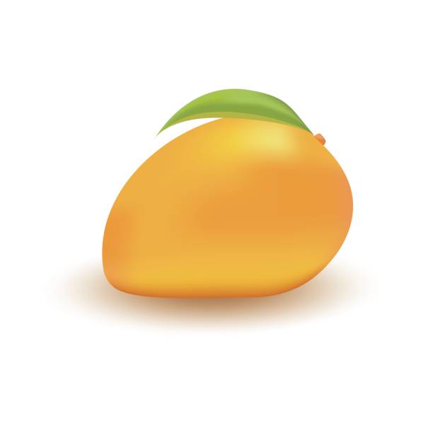 Mango on a white background vector art illustration