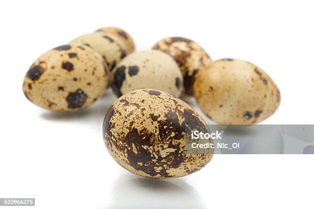 Quail Eggs Closeup On A White Background Stock Photo - Download Image Now - 2015, Animal, Animal Egg