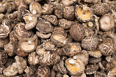 shiitake.jpg?b=1&s=170x170&k=20&c=LwM9BTtqLphwbBa1VKIrIpdRRg-7BOqXNG2SClbiqIo=