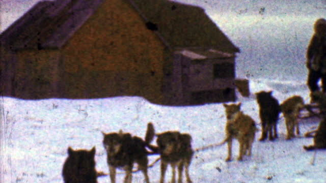 1957: Eager sled dogs ready winter snowscape cloudy journey ahead.