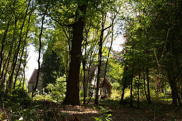 istock Church surrounded by trees in the woods 533978508
