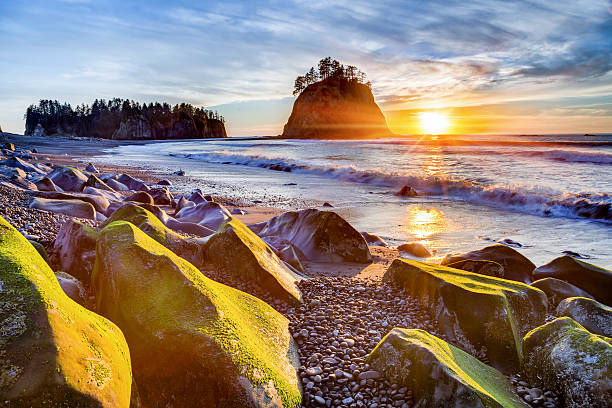 tramonto sulla spiaggia di rialto - sitka foto e immagini stock