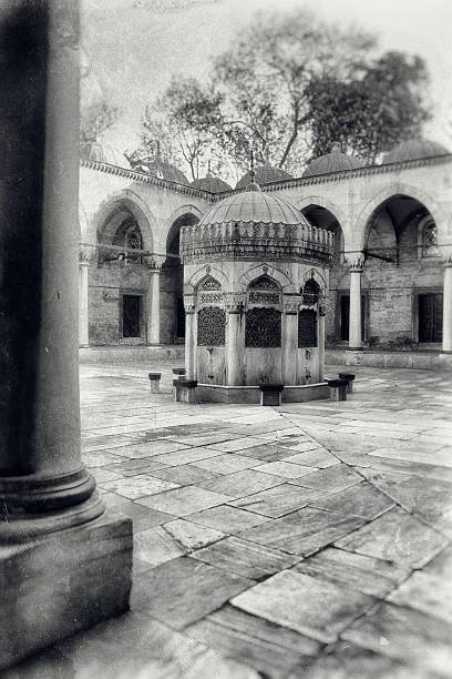 Valide Sultan Mosque's courtyard (tintype) stock photo