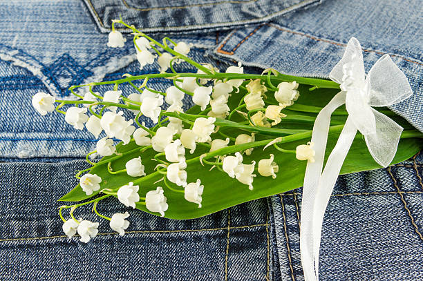istock Lily of the valley 533981504