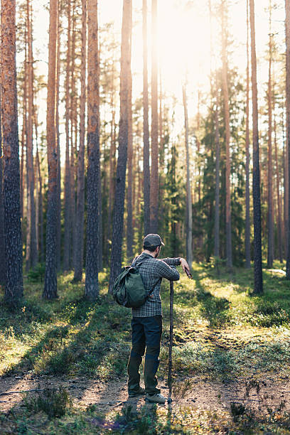 istock Hiker Looking for Connection On His Smartphone While In Nature 533984064