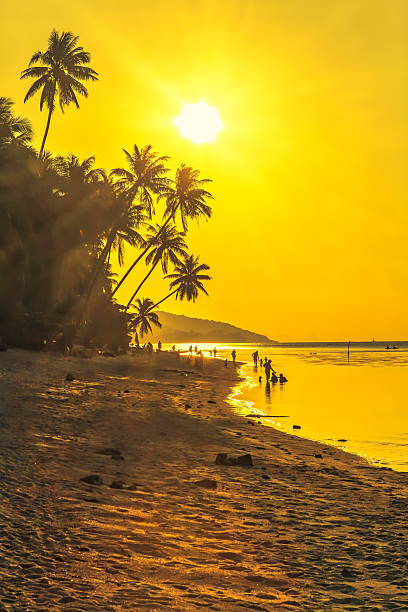 istock Group of people at sunset on the beach. 533984664