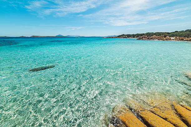 istock crystal clear water in Capriccioli beach 533985858