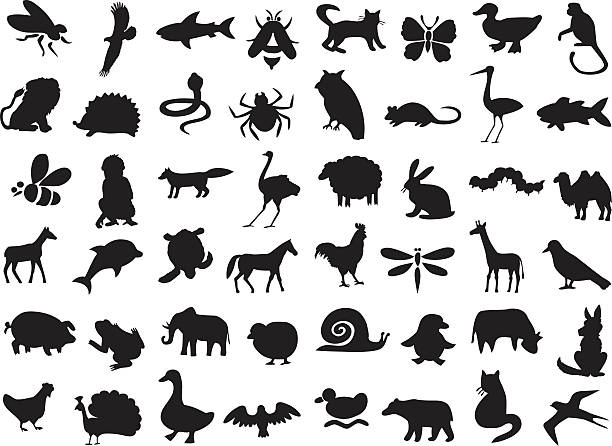 animals silhouettes set silhouettes of wild and domestic animals, birds and insects on a white background. amphibian illustrations stock illustrations