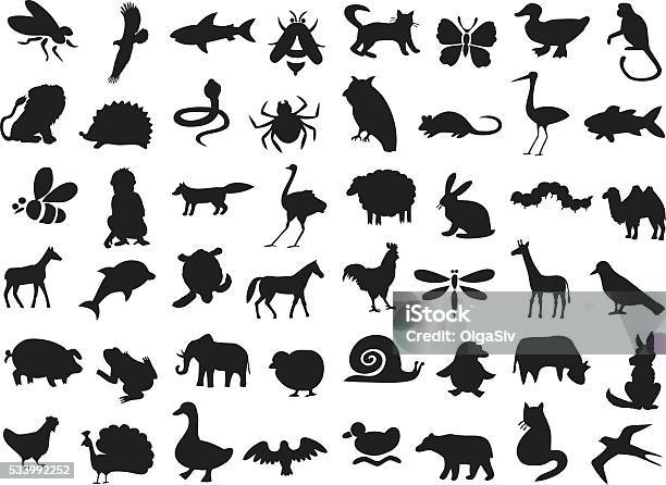 Animals Silhouettes Set Stock Illustration - Download Image Now - In Silhouette, Insect, Animal