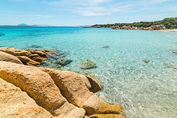 istock turquoise water in Capriccioli beach 533992272