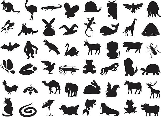 wild and domestic animals silhouette silhouettes of wild and domestic animals, birds and insects on a white background. bee water stock illustrations