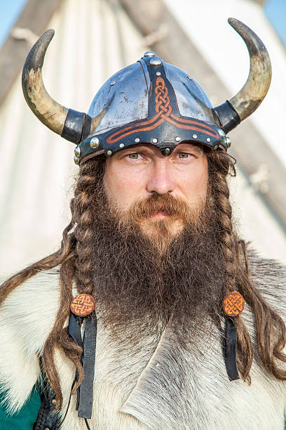 istock Portrait of Viking 533993051