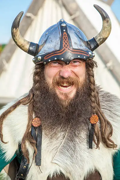 Photo of The angry viking