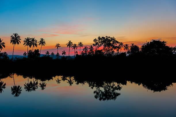 istock Beautiful morning landscape in the tropics 533993203
