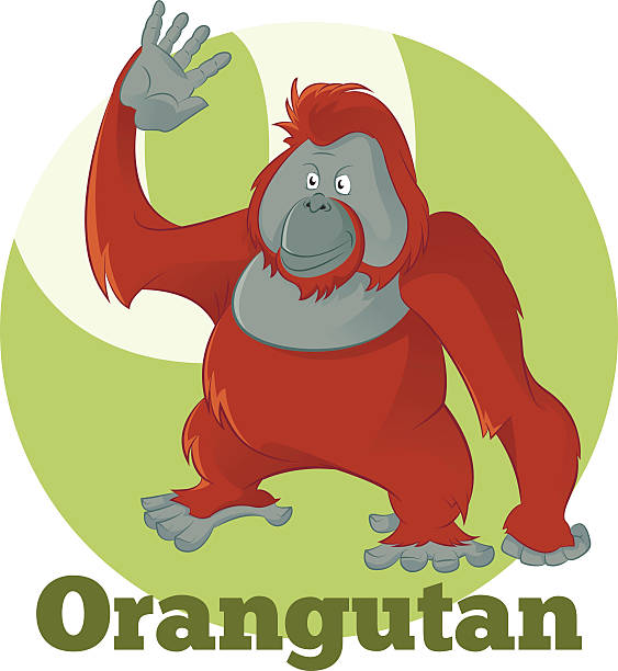 abc 漫画 orangutan2 - monkey sketch drawing showing点のイラスト素材／クリップアート素材／マンガ素材／アイコン素材