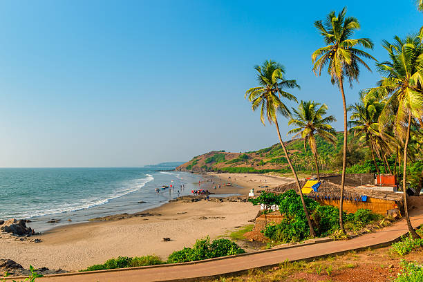 istock calm ocean and sandy beach in Goa 533994019