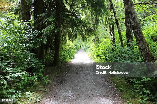 Nature Sport Trail Stock Photo - Download Image Now - 2015, Adventure, Autumn