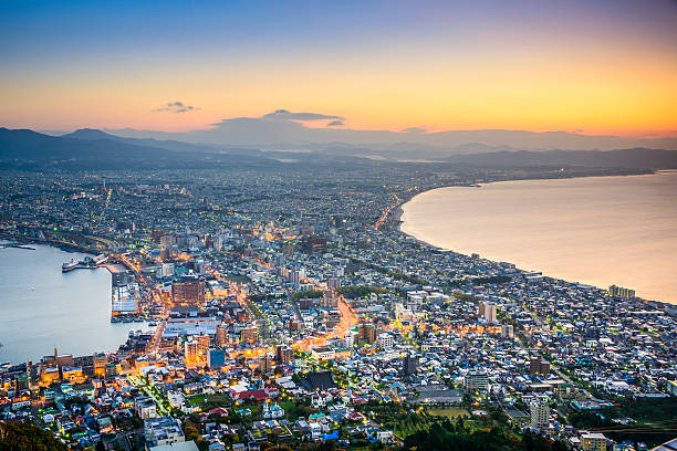 istock Hakodate, Japan City Skyline 533994945