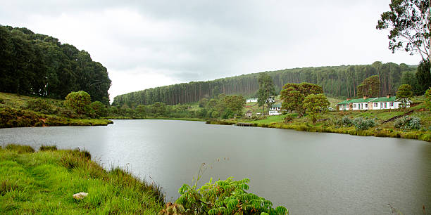 Farm House on Misty Mountains, Next to Pine Plantation and Beautiful Dam