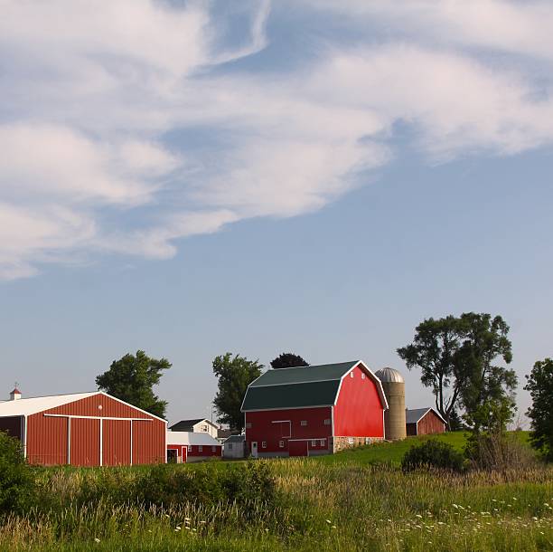 istock Summertime On A Wisconsin Farm 533995085