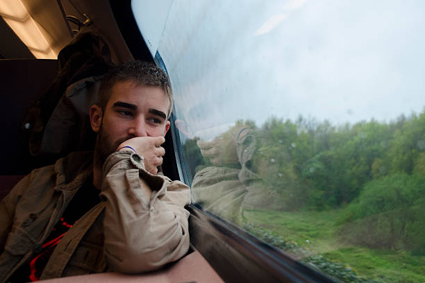 Boy on a train journey staring at the forest landscapes in the Netherlands