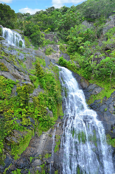 istock Stoney Creek Falls in Queensland Australia 533995446