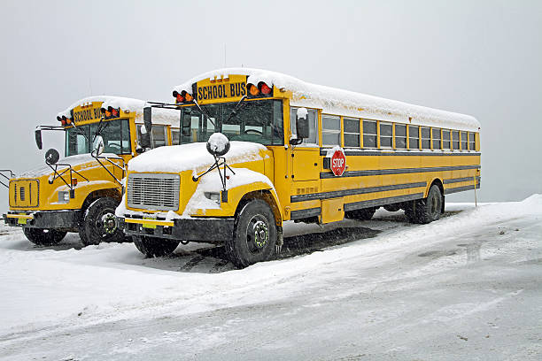 istock Snow Day, No School, Parked School Buses 533996307